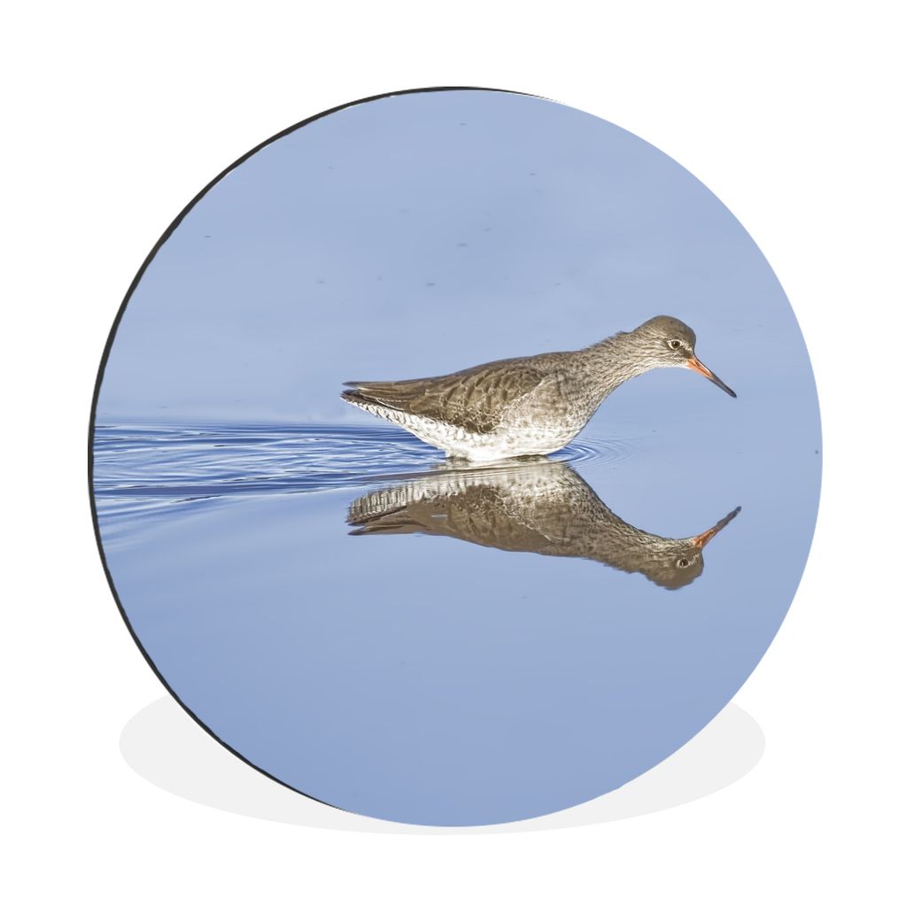 MuchoWow Aluminium Wandkreis Ein Rotschenkel und sein Spiegelbild im Wasser Ø 60 cm Wanddeko Modern Wohnzimmer - Wand Kreis - Wandbild - Schlafz...