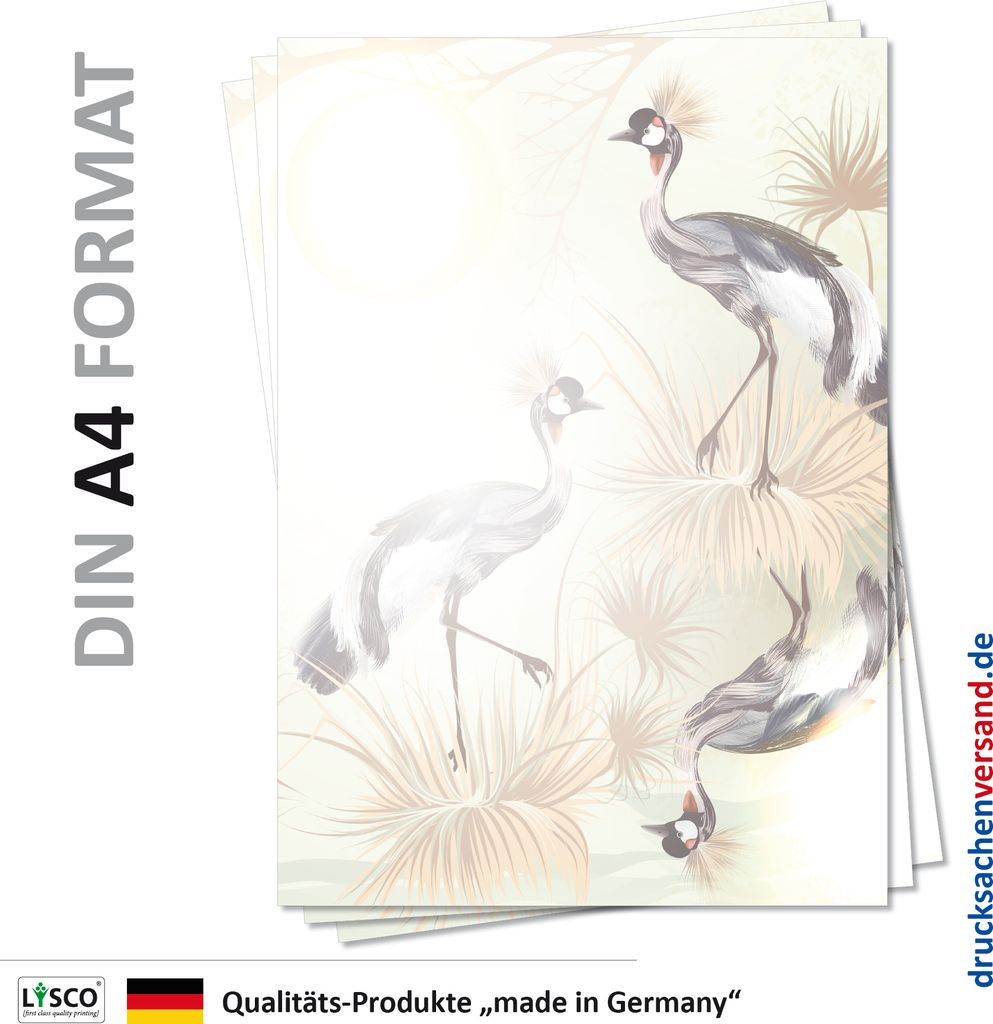 Motiv Briefpapier (Vögel-5105, DIN A4, 25 Blatt) Pfau Federn Vögel Pfauenfedern Vögel Motivpapier