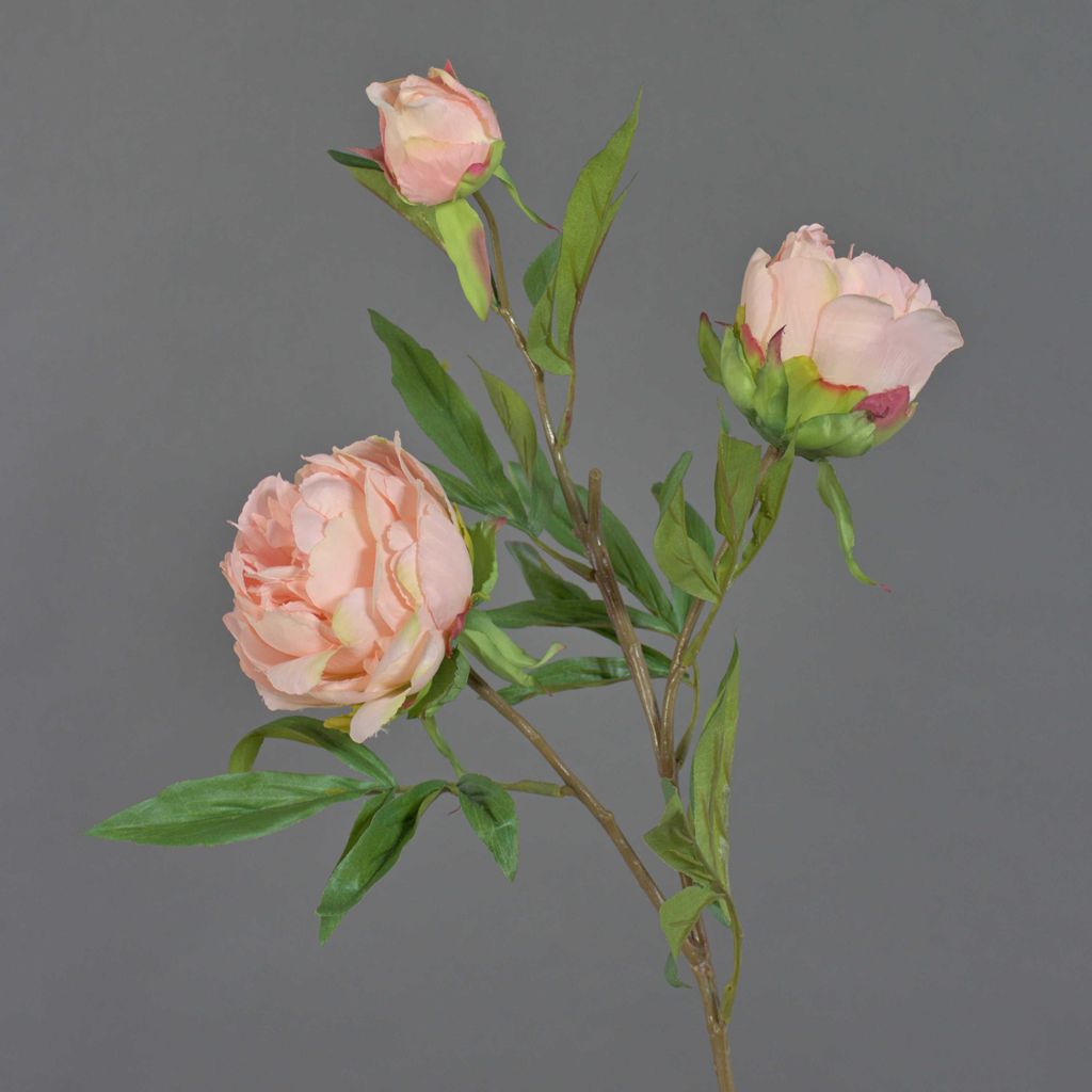 artplants.de Kunstblume Pfingstrose MANJA, rosa, 70cm, Ø 8-10cm - Künstliche Päonie