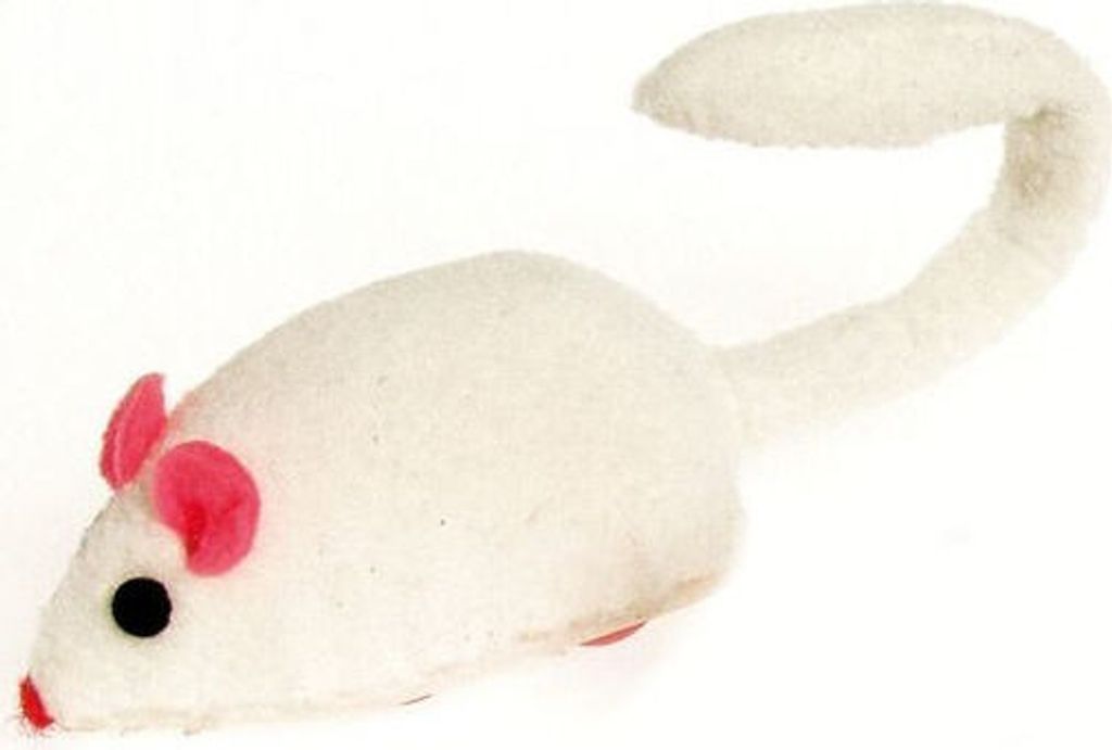 Katzenspielzeug Super Speedy Aufziehmaus Jagd- und Produktbild 