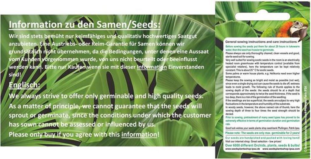 10x Rubus chamaemorus Moltebeere Garten Pflanzen - Samen Produktbild 4