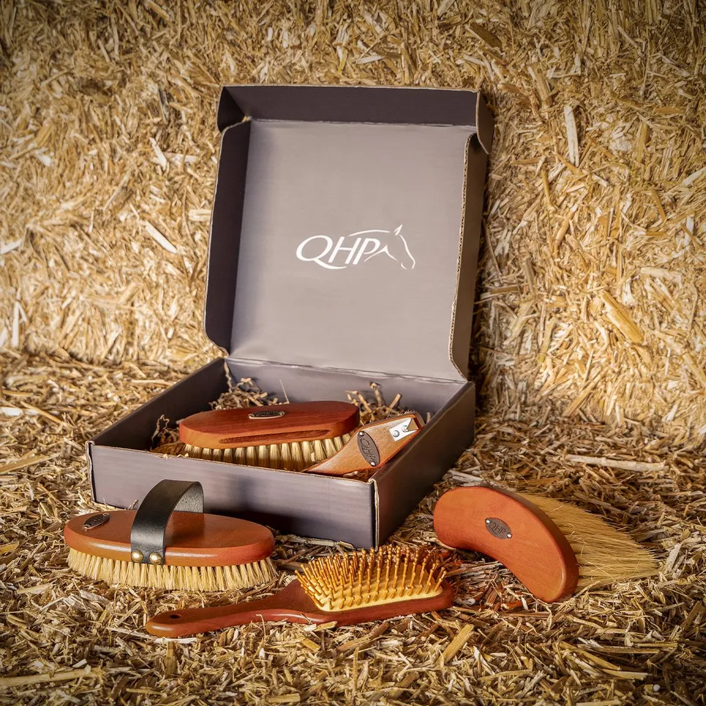 Set de brosses QHP Royal marron en poils synthétiques de qualité