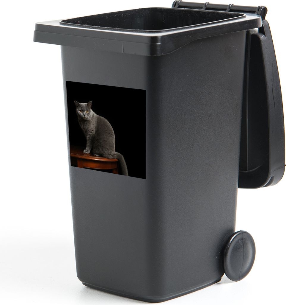 MuchoWow Mülltonnenaufkleber Porträt einer Britisch-Kurzhaar-Katze 40x40 cm - Abfall-Aufkleber - Container - für Abfallcontainer