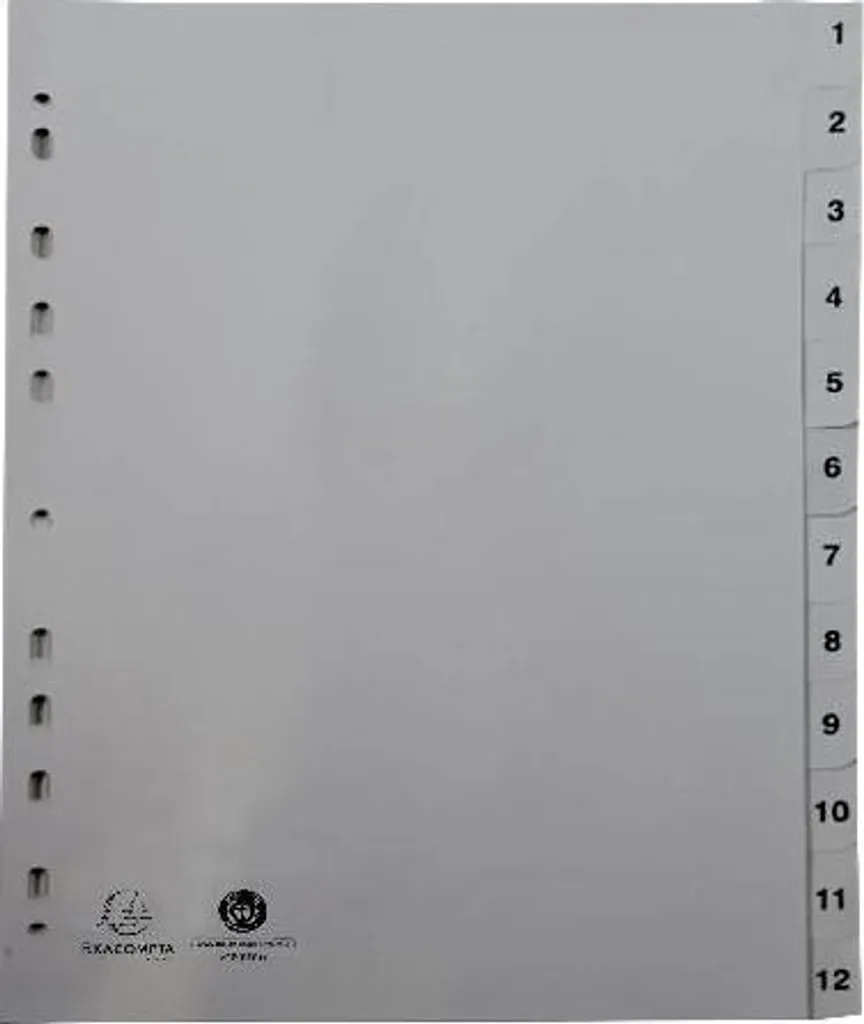Exacompta 1912E Jeu de 20 Intercalaires A4 en PP Recyclé Gris 12 Positions