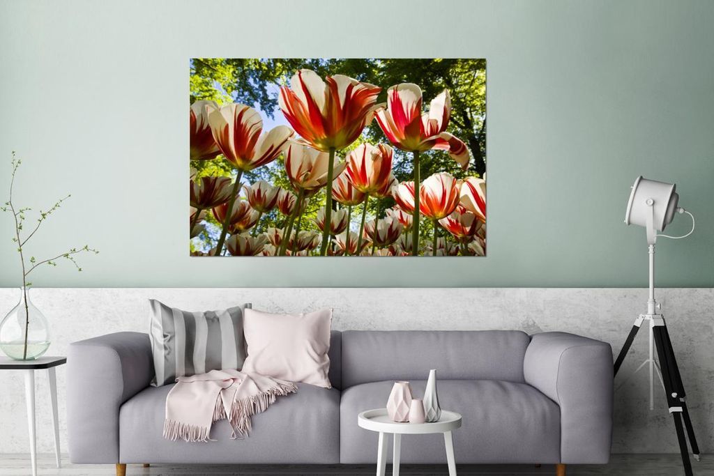 MuchoWow Wanddekoration Metall Metallbild Wandkunst 120x80 cm Ein Garten mit roten und weißen Tulpen MuchoWow Aluminium Gemälde - Alu Bild