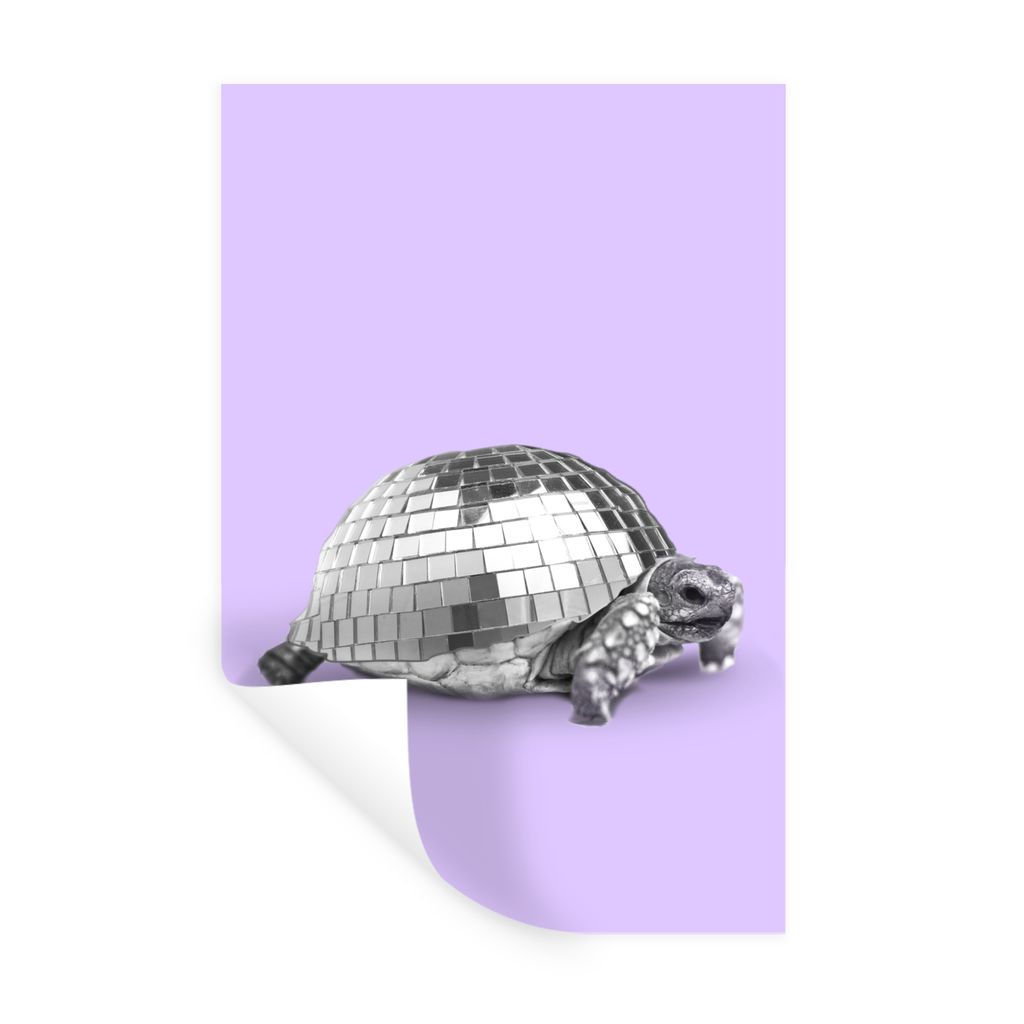MuchoWow Wandtattoo Wandsticker Wandaufkleber Schildkröte - Discokugel - Disco - Tier - Lila 60x90 cm Selbstklebend und Repositionierbar - Stick...