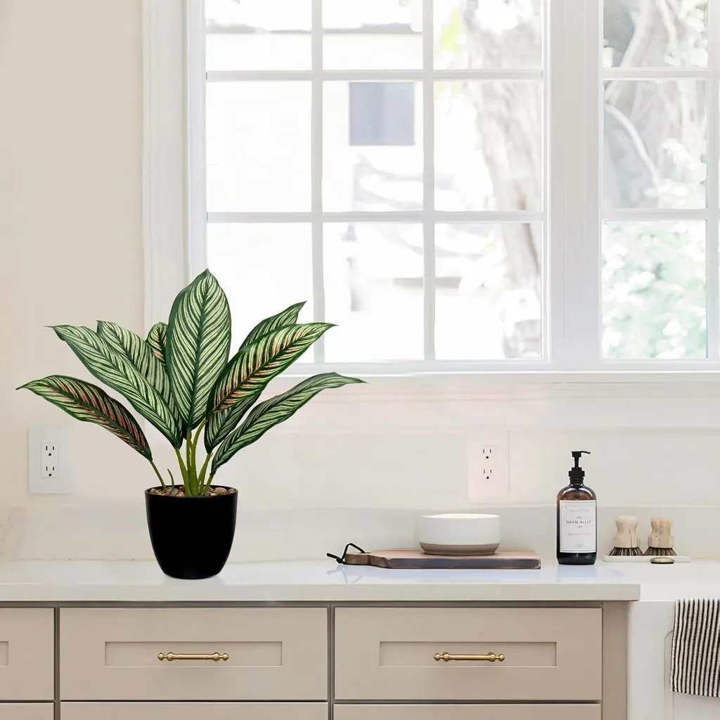 Calathea artificiel 33cm idéal pour décorer un bureau sans lumière