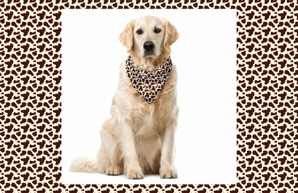 ABAKUHAUS Kuh-Druck Haustier Bandana, Rinderhaut mit Punkt, 55x55 cm, Weiss-braun