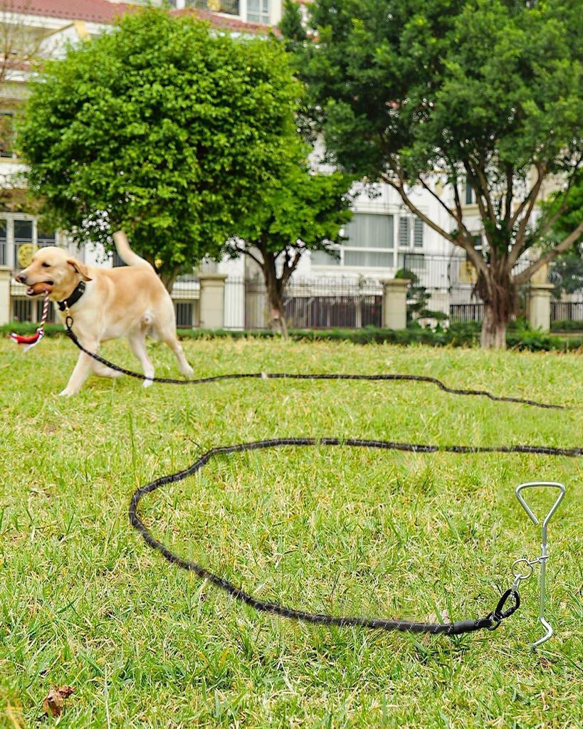 Leine für große Hunde - Starke, reflektierende Hundeleine mit gepolstertem Griff - Erhältlich in 5m, 10m, 15m, 20m