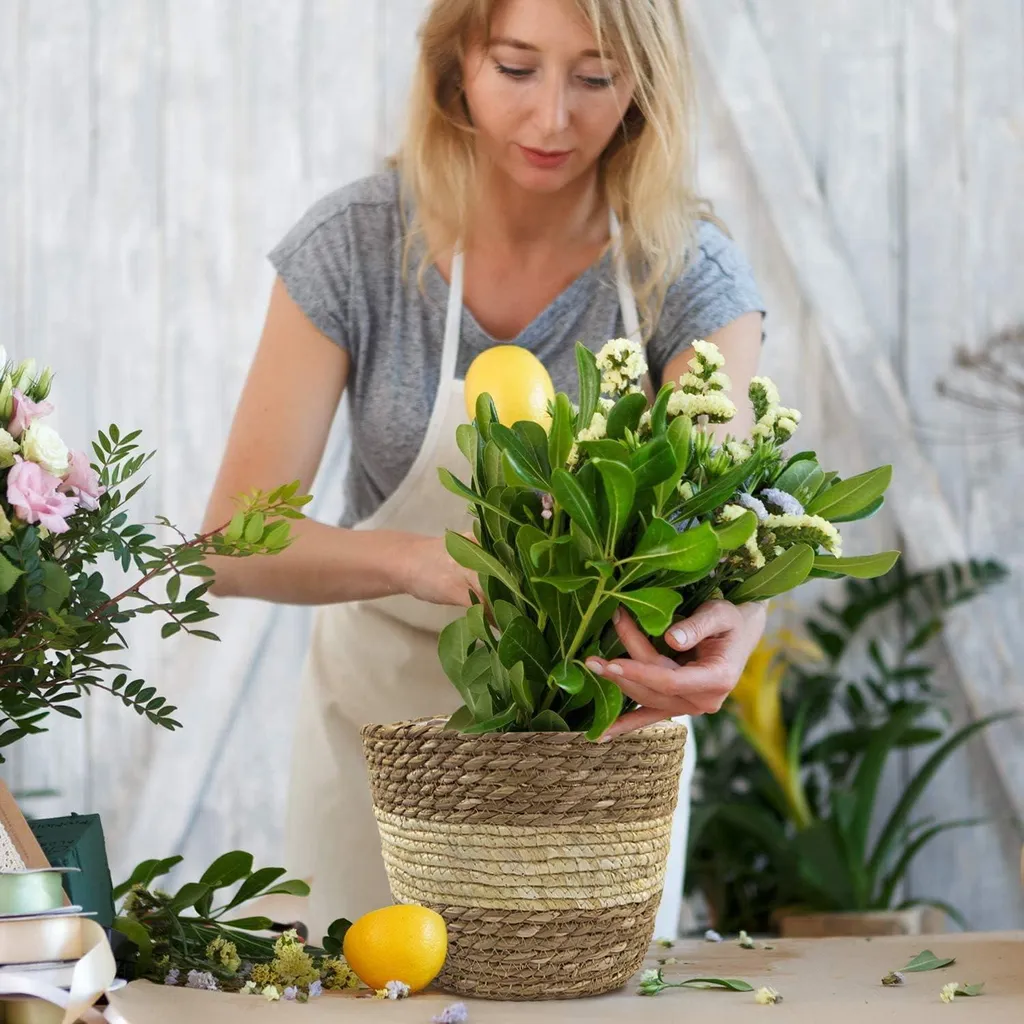 Paniers de rangement pour plantes en paille tressée - Cache-pot beige