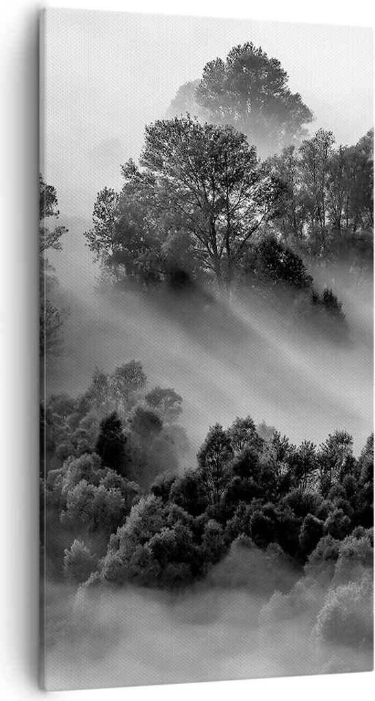 Bild auf Leinwand - Leinwandbild - Einteilig - Schwarzweiß Bäume Nebel - 55x100cm - Wand Bild - Wanddeko - Wandbilder - Leinwanddruck - Bilder - ...