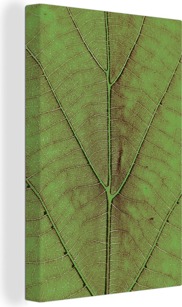 OneMillionCanvasses - Leinwandbilder - 90x140 cm, Blätter - Natur - Pflanzen, Wandbilder Kunstdruck Wanddekoration - Foto auf Leinwand - Gemäld...
