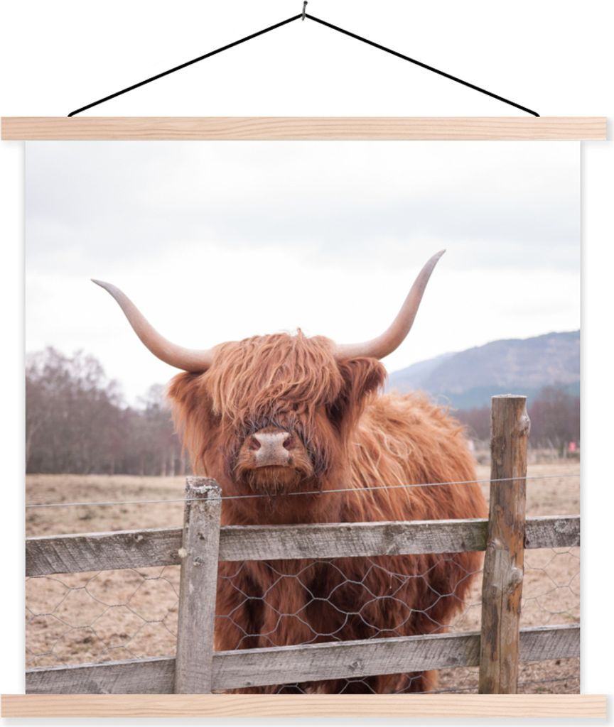 MuchoWow Textilposter Scottish Hochlandrind - Gras - Zaun 120x120 cm mit holzfarbenen Rahmen - Textil-Poster