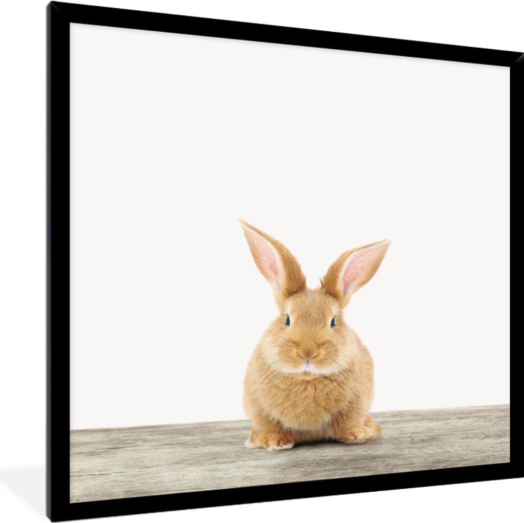 MuchoWow Gerahmtes Poster Kaninchen - Babykaninchen - Tiere - Kinder - Mädchen - Jungen 40x40 cm - Poster mit Schwarzem Bilderrahmen Wandposter ...