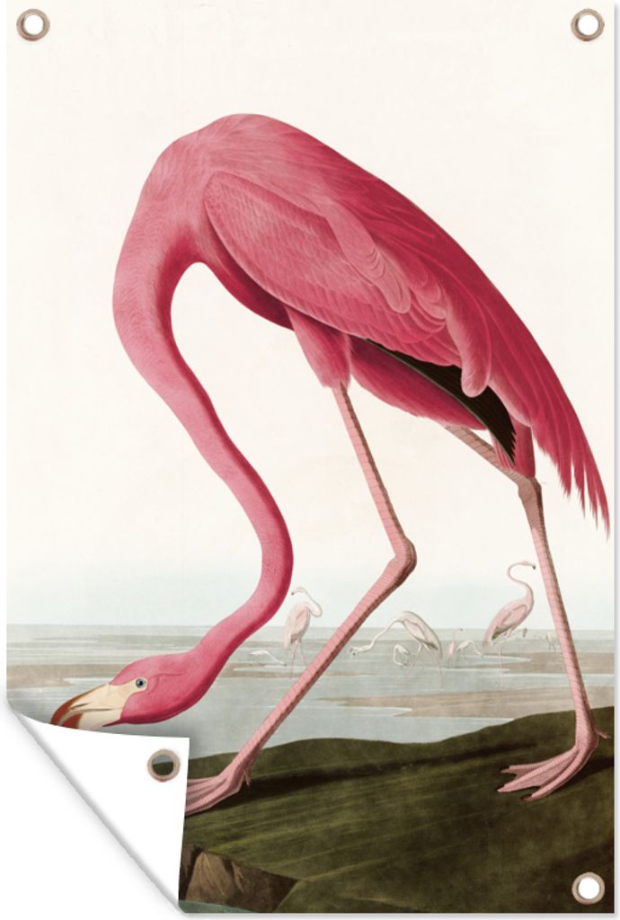 MuchoWow 60x90 cm Outdoor-Poster Gartendeko Sichtschutz Garten Poster für den Garten Flamingo - Vogel - Vintage - Wasser - Rosa