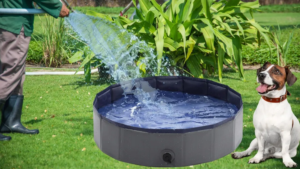 Piscina Cani Professionale 100x30 cm - Materiale PVC Alta Resistenza - 4