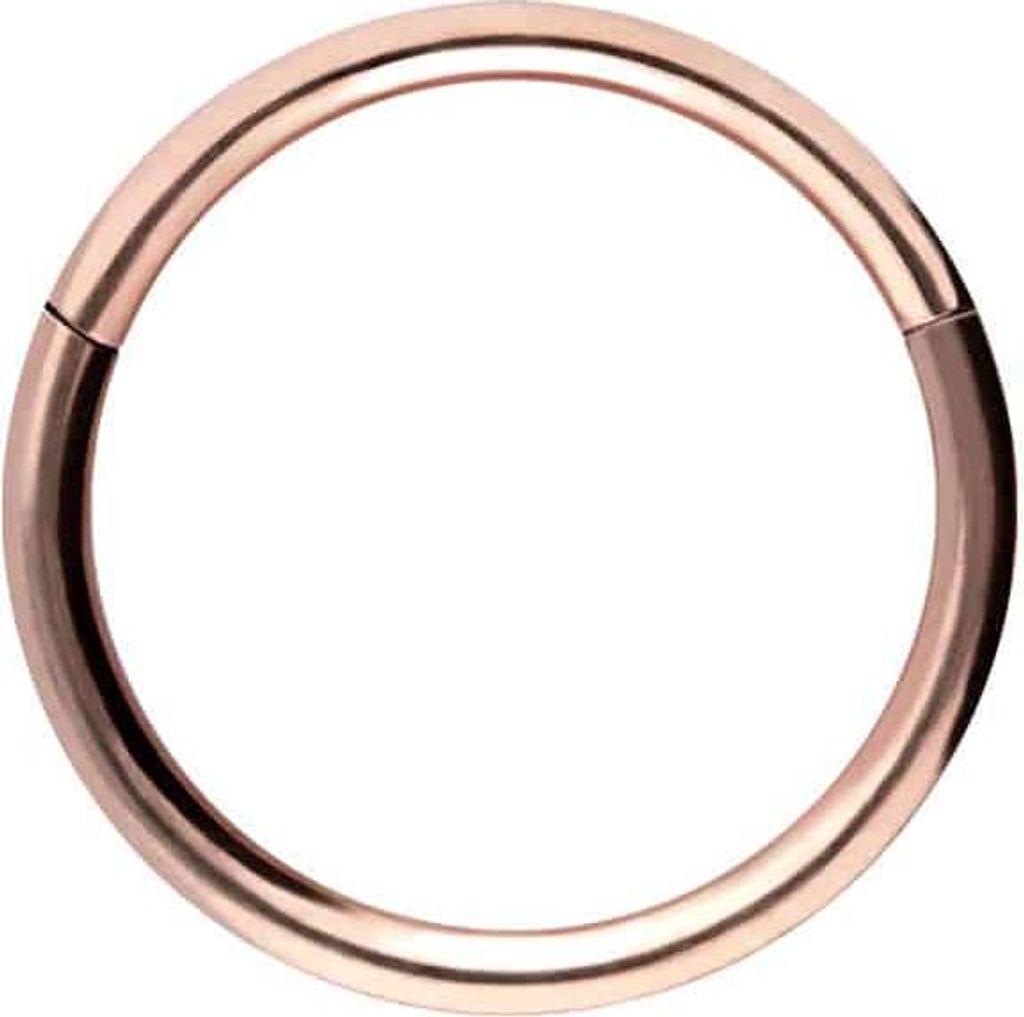 Ohrpiercing, Nasenpiercing, Septum Piercing Chirurgenstahl Segmentring Clicker RoséGold Innendurchmesser: 10mm + Stabstärke: 1mm