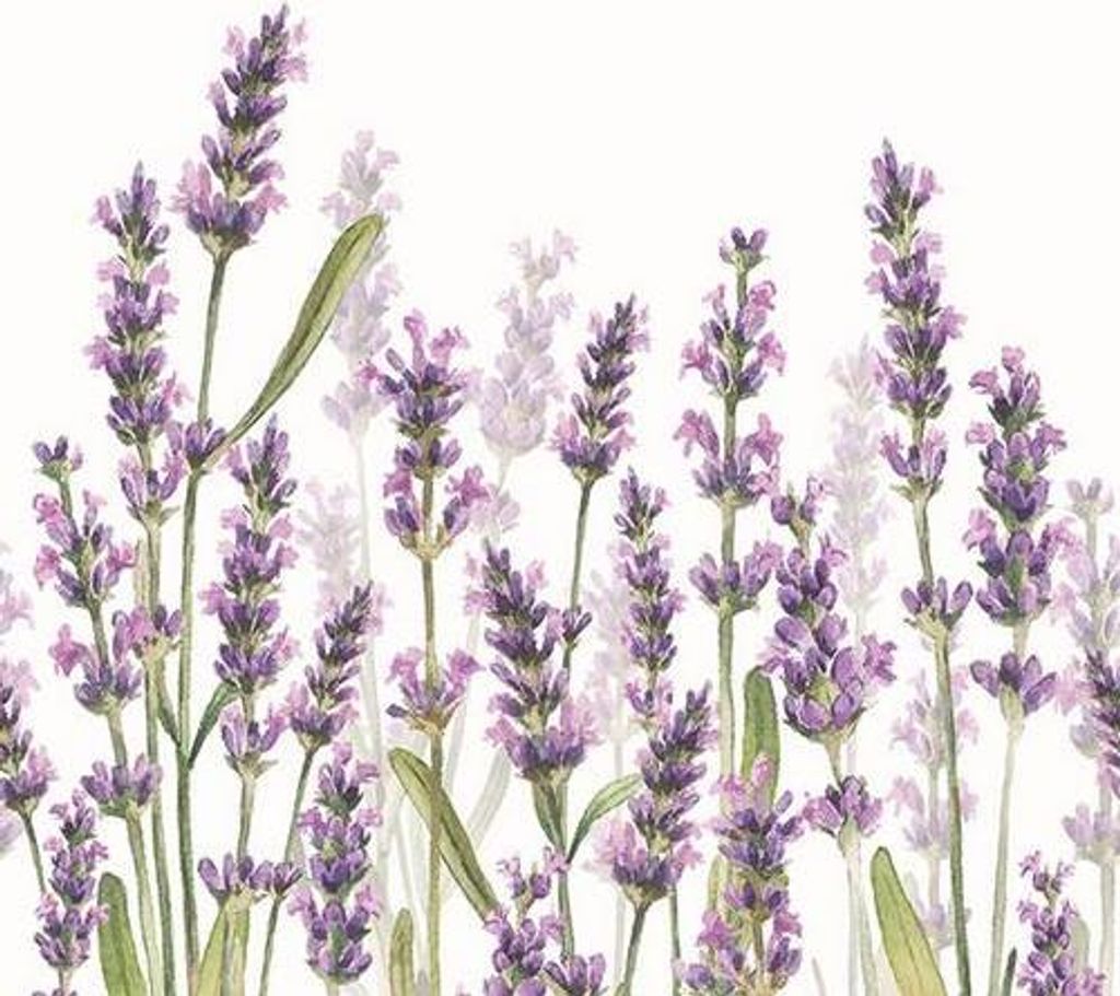20 Servietten Lavender Shades white - Lavendelwiese blüht Produktbild 