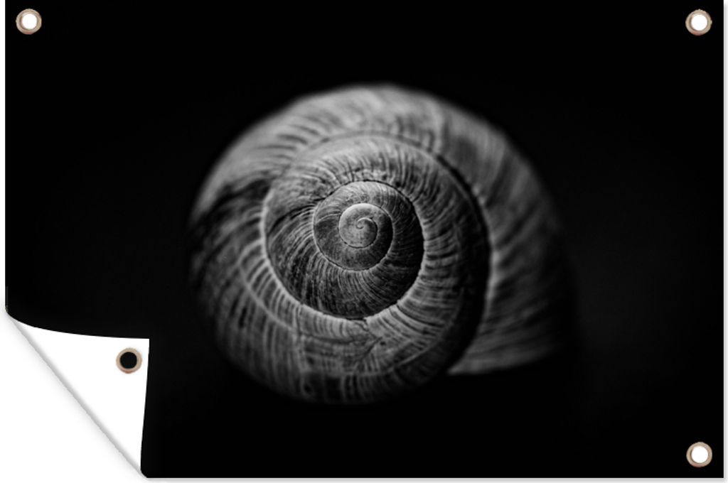 MuchoWow 90x60 cm Outdoor-Poster Gartendeko Sichtschutz Garten Poster für den Garten Schnecke - Tiere - Schwarz - Weiß - Schneckenhaus