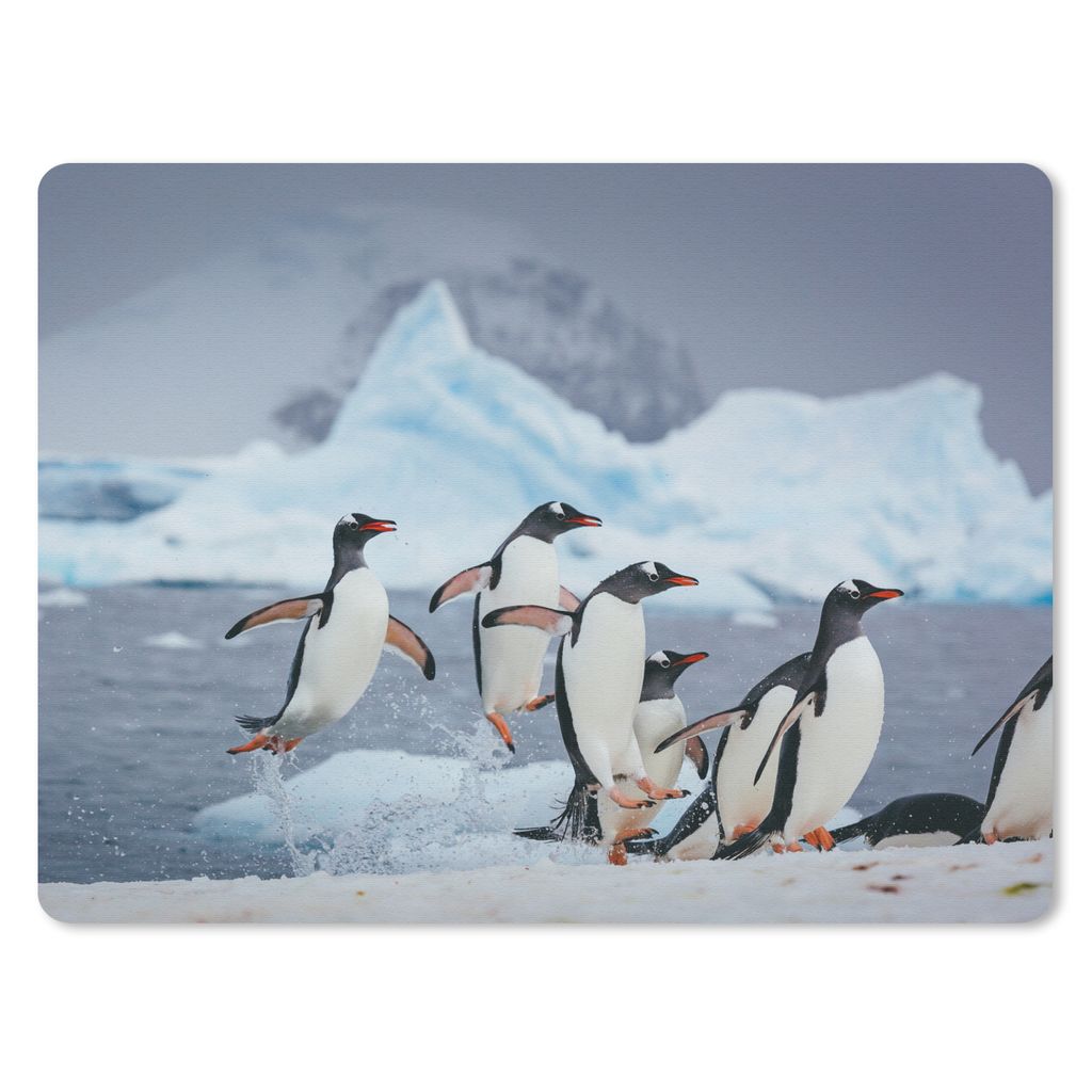 MuchoWow Mauspad Mousepad Pinguine kommen aus dem Wasser und springen auf eine Eisscholle 40x30 cm - Mousepads - Maus Mat - Pad - Mausunterlage -...