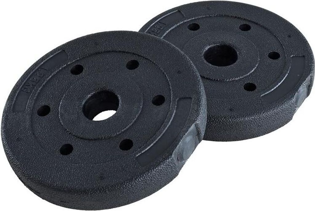 Hantelgewichte Hantelscheiben 2er Set 1,25 kg Kunststoff Gewichte Zementfüllung
