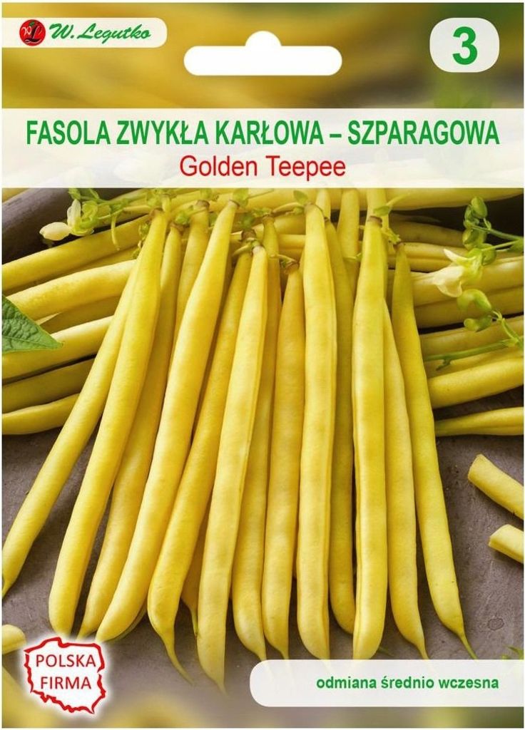 W. LEGUTKO Zwergbohnensamen Golden Teepee, 35g - Produktive, Saftige Schoten für Gartenanbau