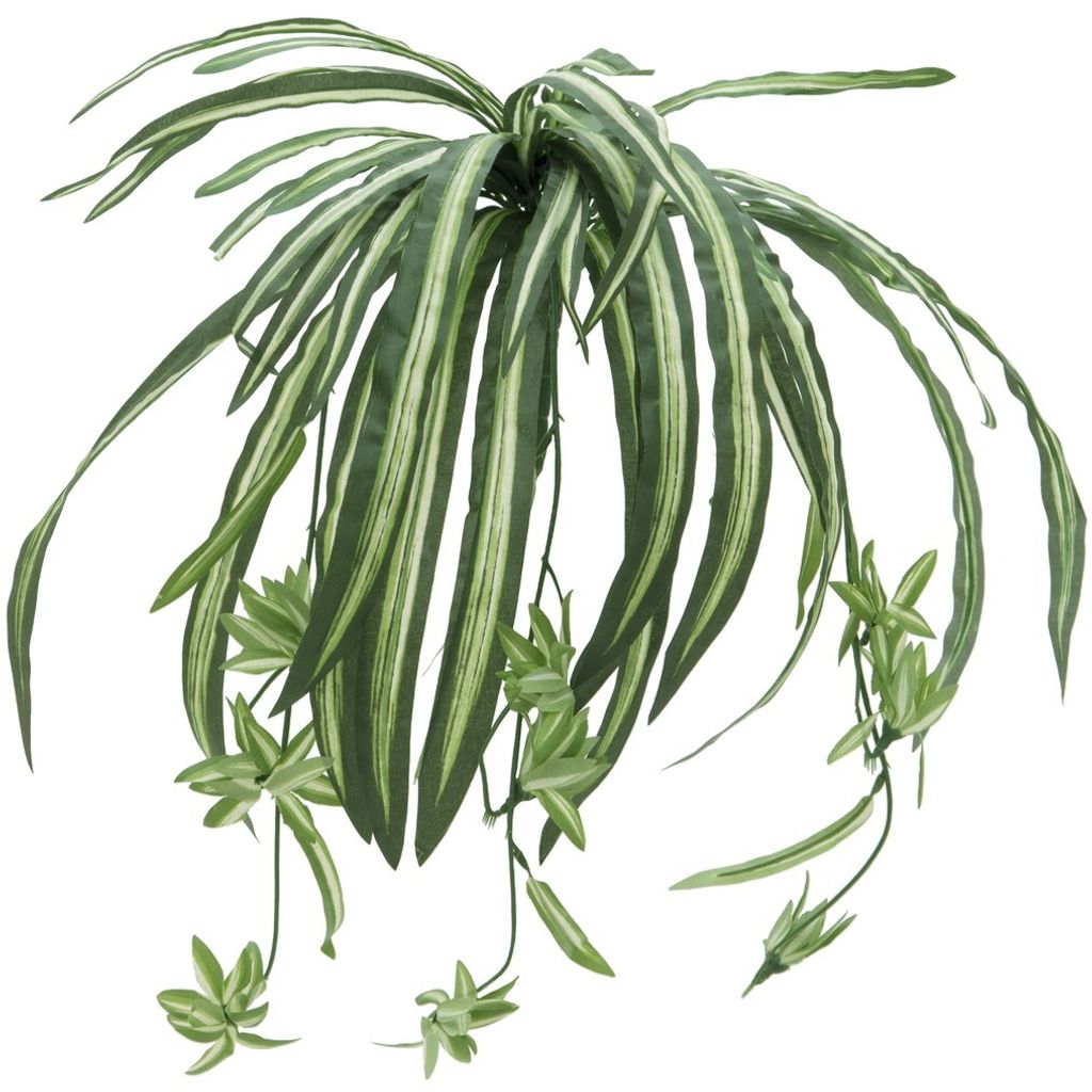 EUROPALMS Giglio verde, artificiale, 60 cm Immagine del prodotto 