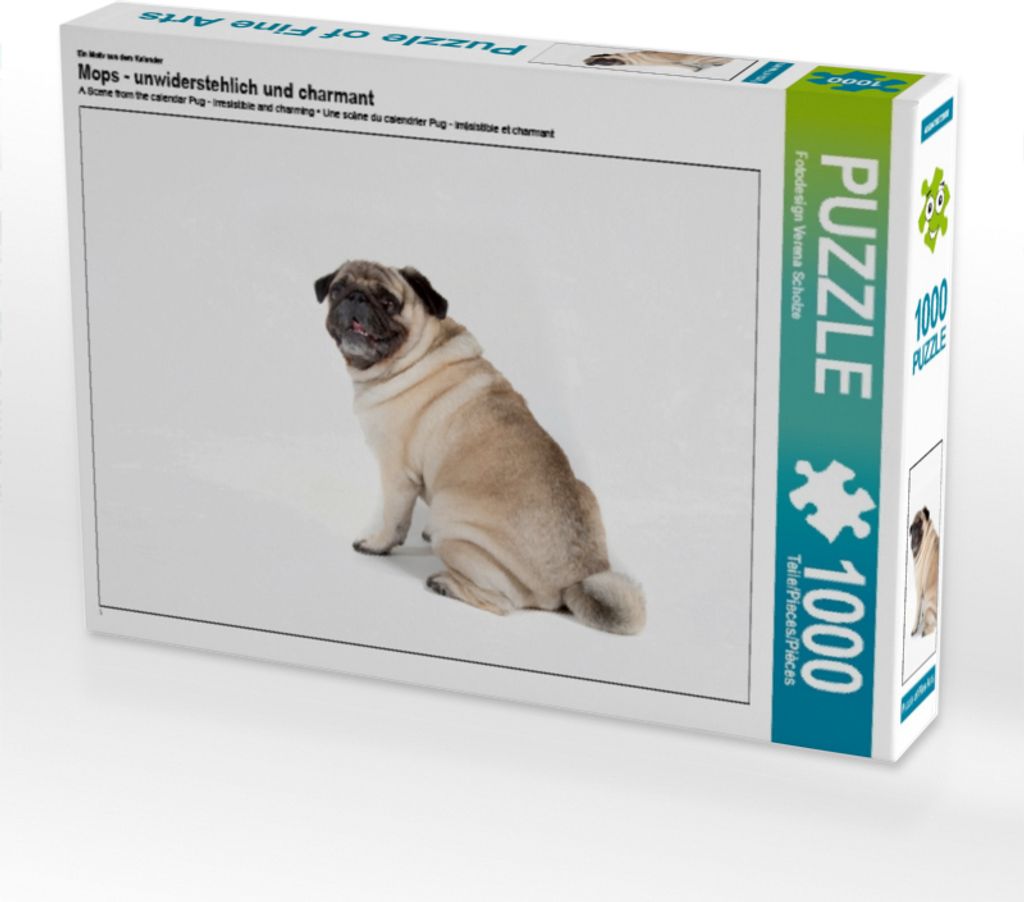 Calvendo Ein Motiv aus dem Kalender Mops - unwiderstehlich Produktbild 