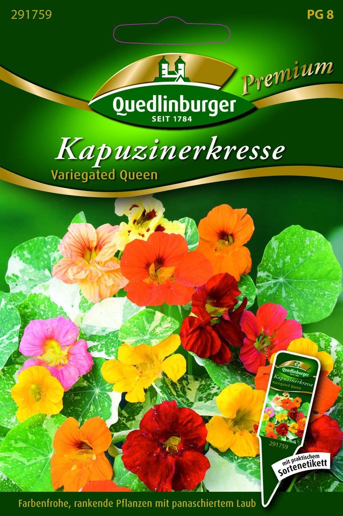 Kapuzinerkresse Variegated Que | Kapuzinerkressesamen von Produktbild 