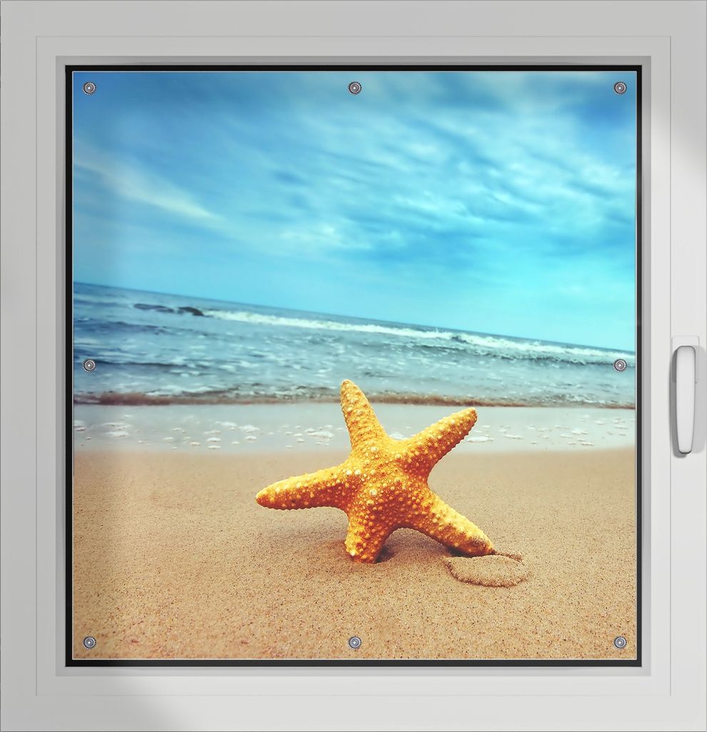 Wallario Lichtschutzbild, Dekorativer Sichtschutz Sonnenschutz 96 x 93 cm mit Motiv: Seestern am Strand am Meer - Verdunklung ohne Bohren