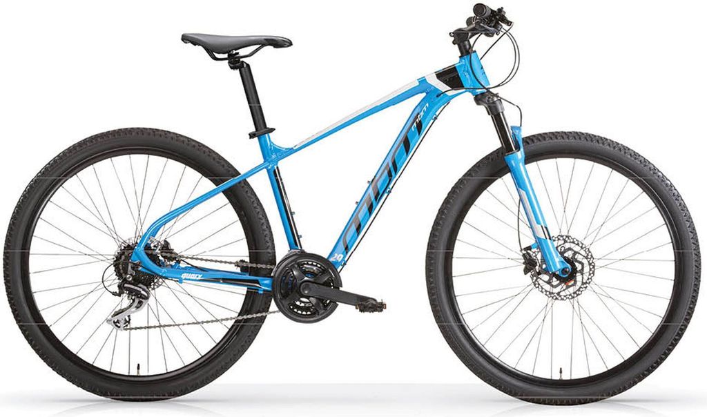MBM Mountainbike 29 Zoll QUARX