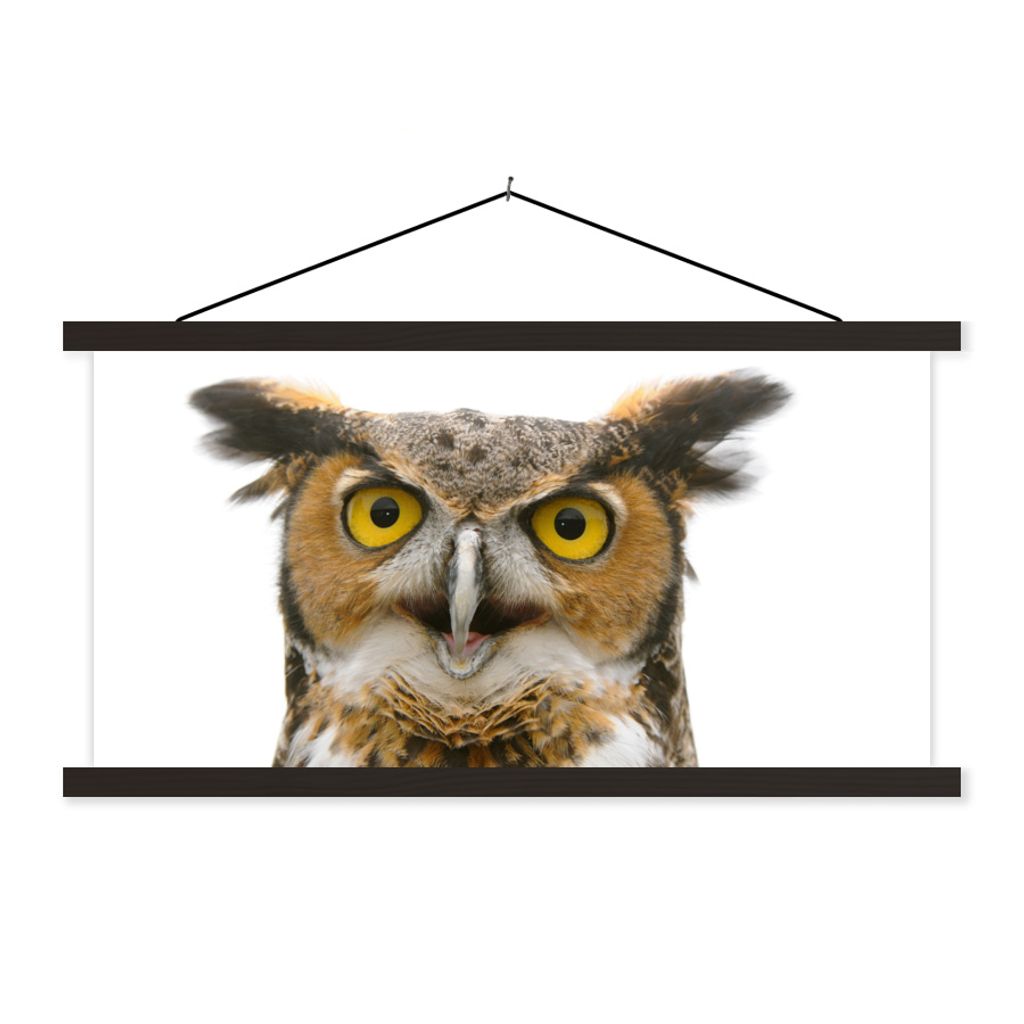 MuchoWow Textilposter Eule - Vogel - Porträt 90x45 cm mit schwarzem Rahmen - Klemmleisten