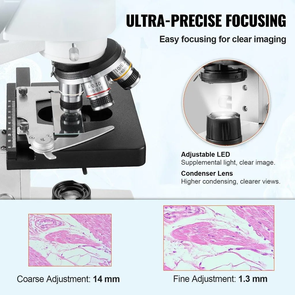 Microscope binoculaire 2500X : image nette et platine mécanique fluide