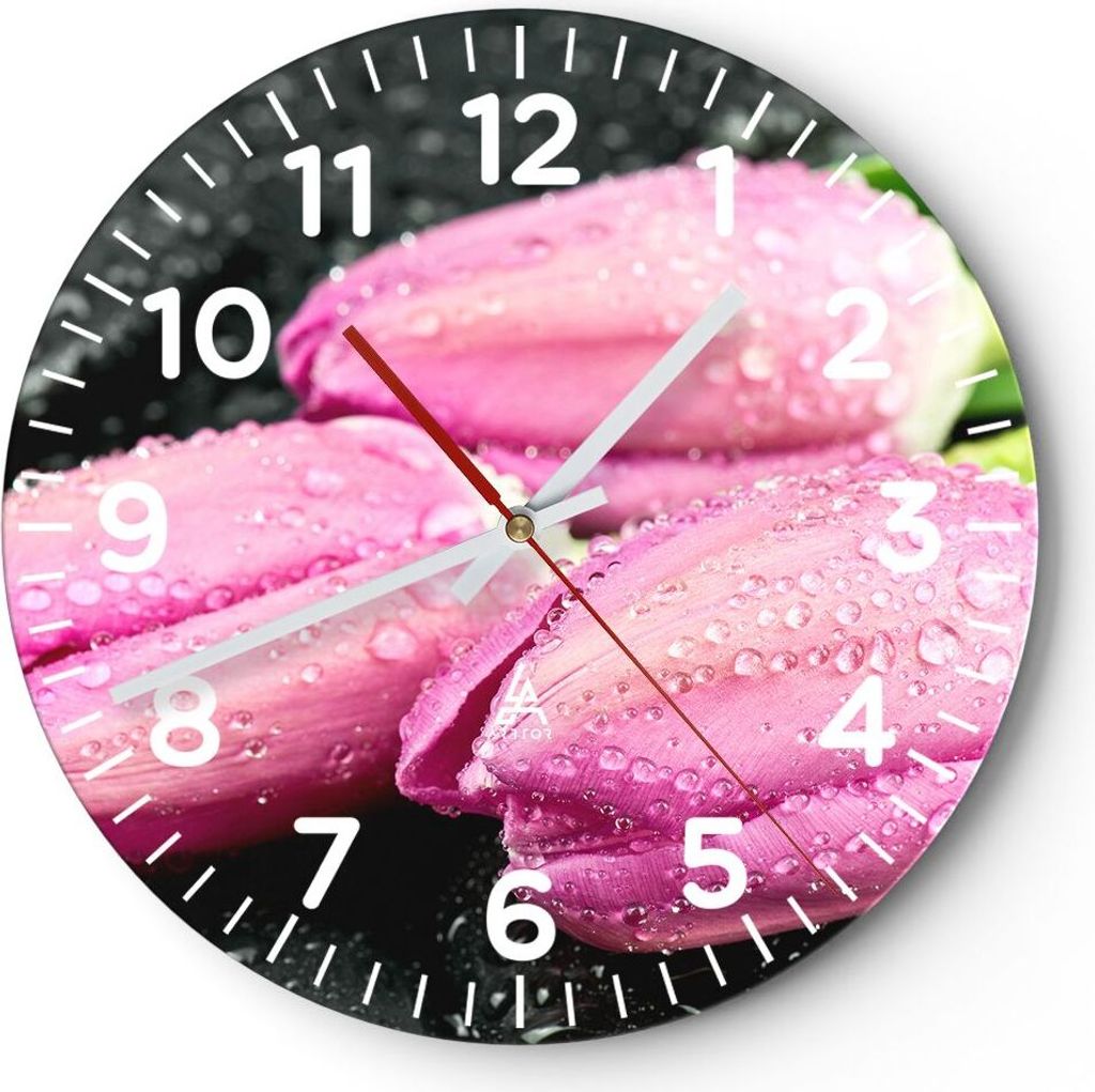 Wanduhr - Rund - Glasuhr - Tulpen Tau Steine Pflanze - 40x40cm - Schleichendes Uhrwerk - Lautlos - zum Aufhängen bereit - Dekoration Modern - Wand...