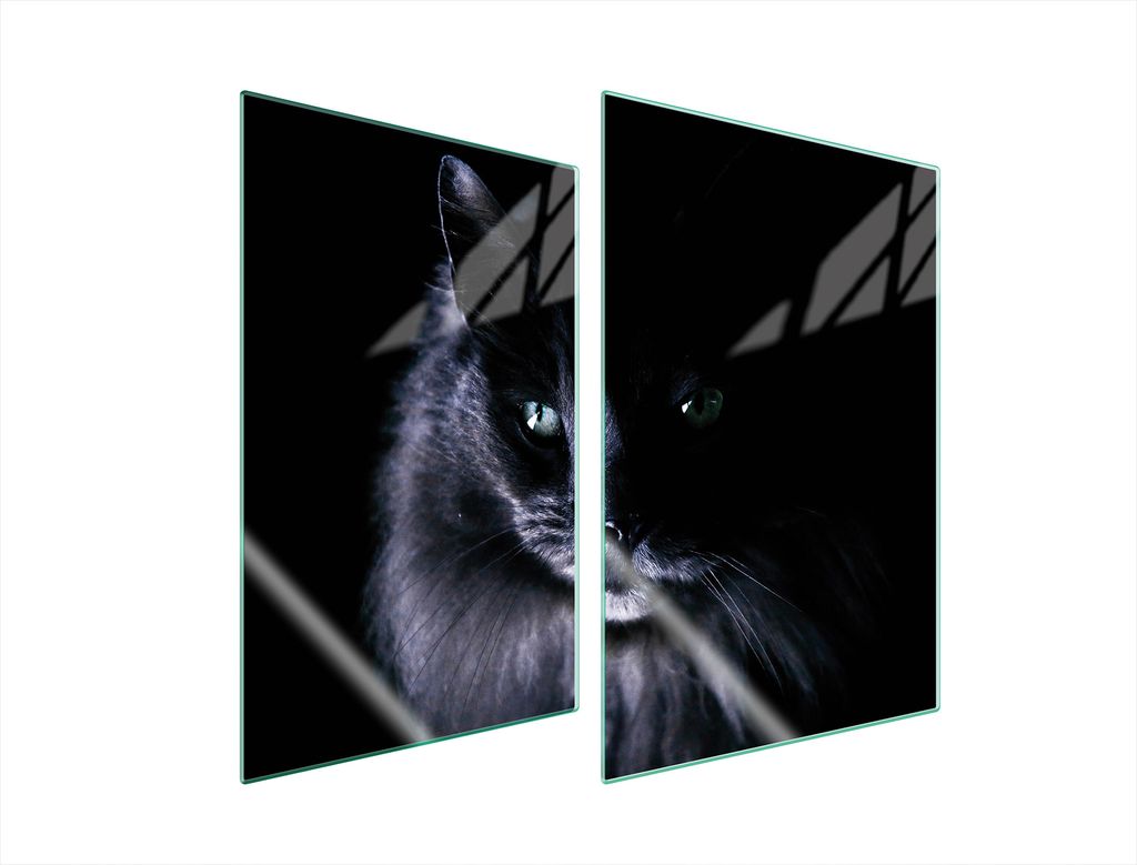 Glasschutzplatte Für Küche 2X35X52 Cat
