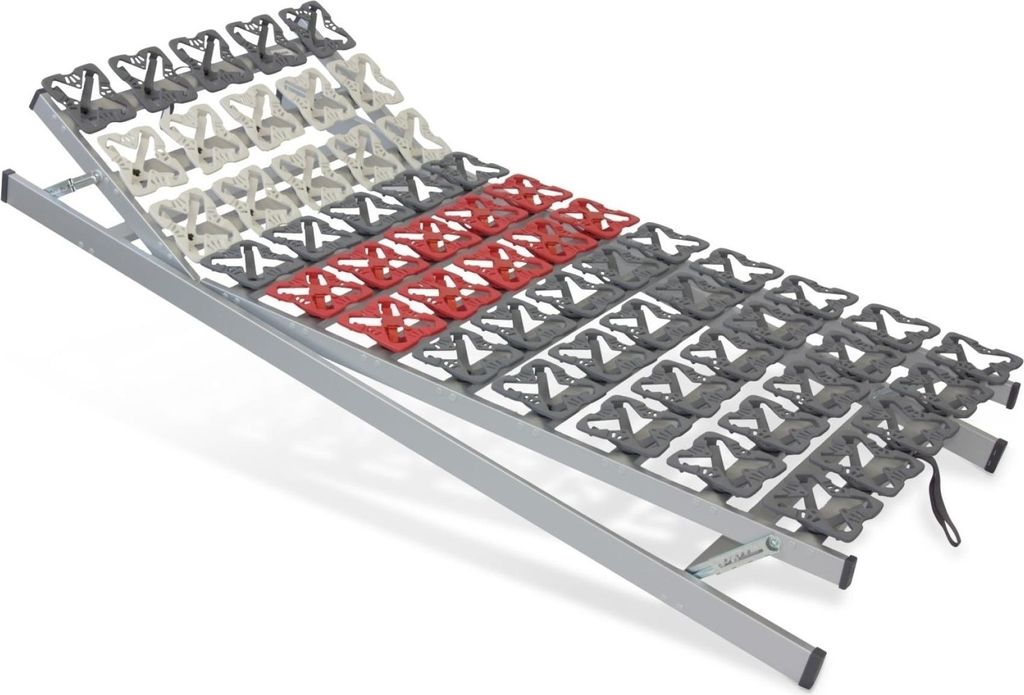 Tellerlattenrost verstellbar 90x200 - Cirro KFV - Modul - Froli Teller - Tellerrahmen - Tellerrost 90x200