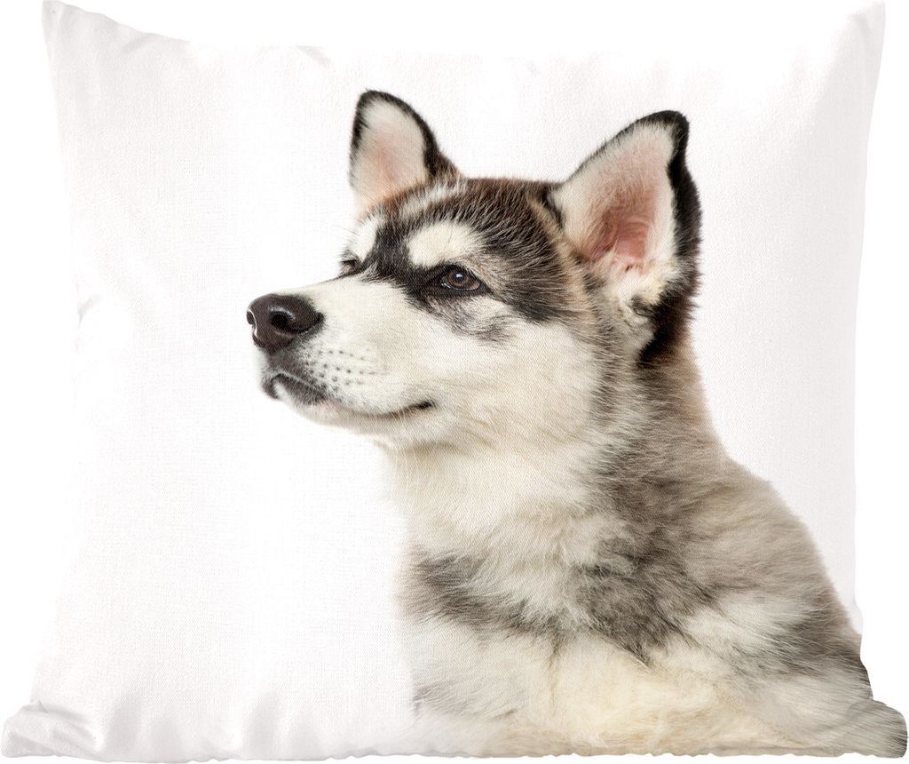 MuchoWow Zierkissen Sofakissen Wohnzimmer Dekokissen 40x40 cm Eine andere Art von Hund - Sofakissenbezüge - ohne füllung
