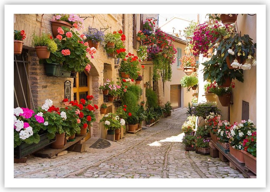 Poster - Poster ohne Rahmen - Blume Straße Haus - 100x70 cm - Wand Bild - Wanddeko - Wandbilder - Kunstposter - Wandposter - Bilder - Kunstdruck -...