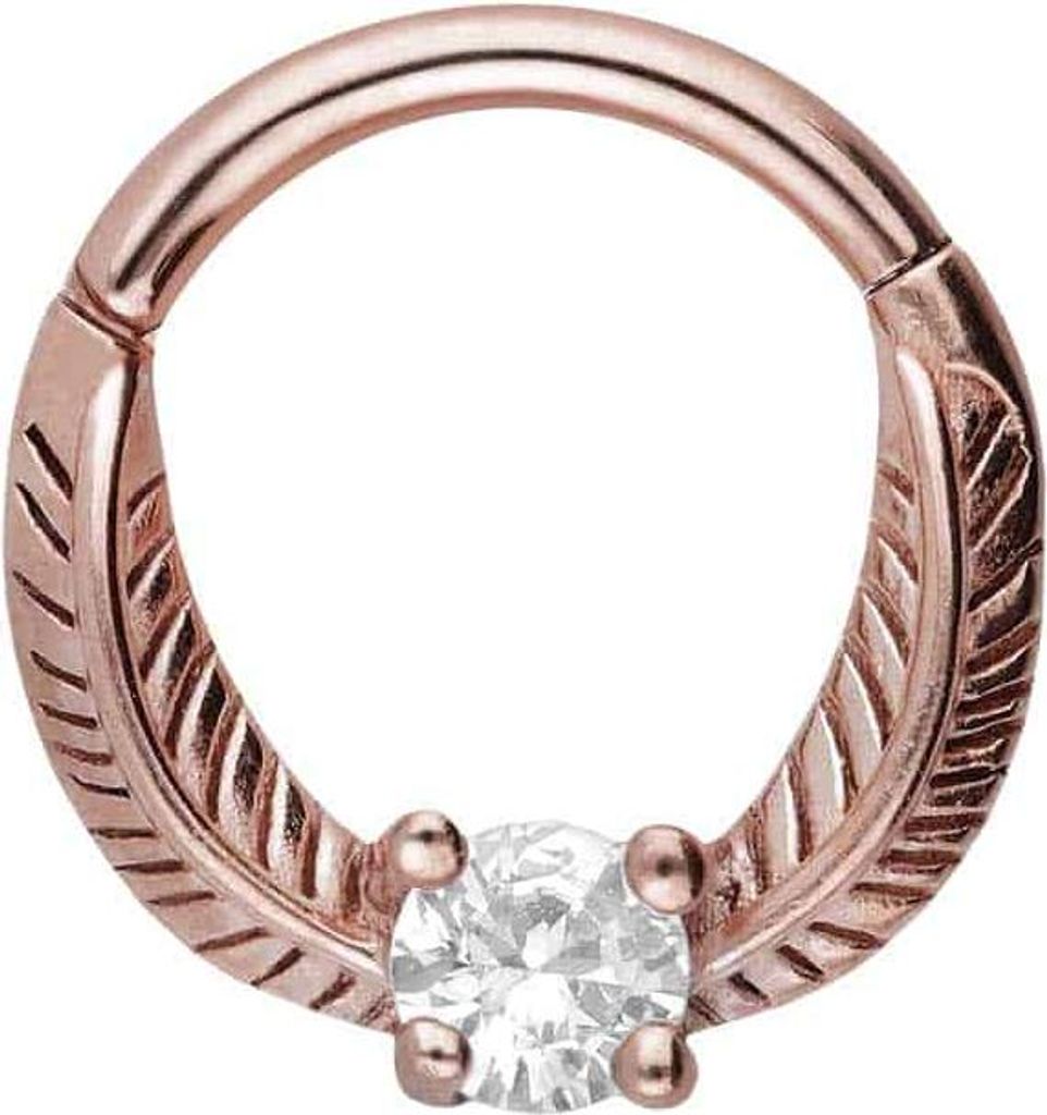 Ohrpiercing, Nasenpiercing, Septum Piercing Chirurgenstahl Segmentring Clicker FLÜGEL + KRISTALL