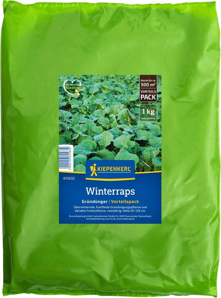 Kiepenkerl Gründüngung Winterraps Brassica napus 1 kg Produktbild 