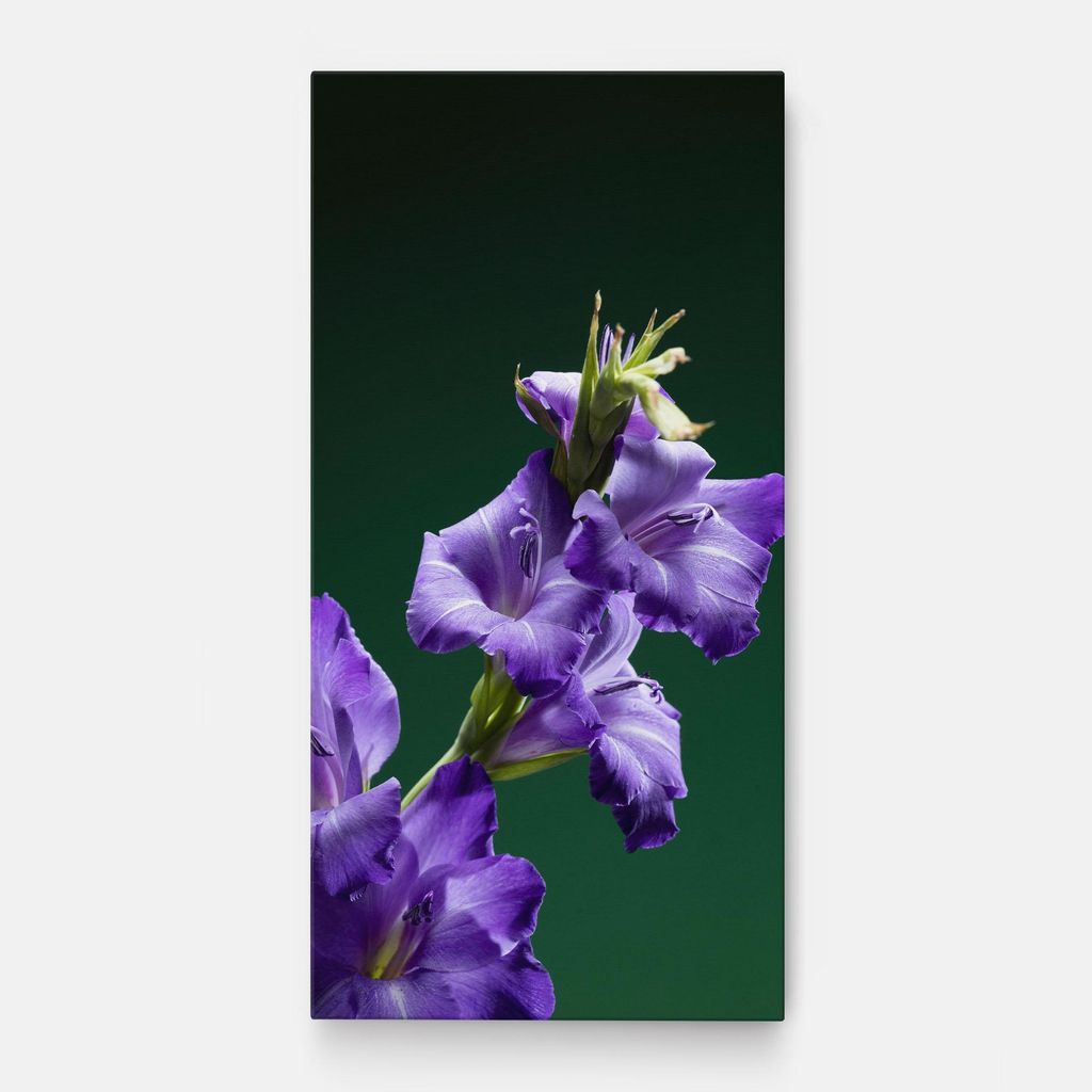 ARTHUB Leinwandbild 40x80 cm, Iris On Green | Wohnzimmerdekoration, Hängende Bilder, Wanddekoration, Heimdekoration, Blumen, Iris