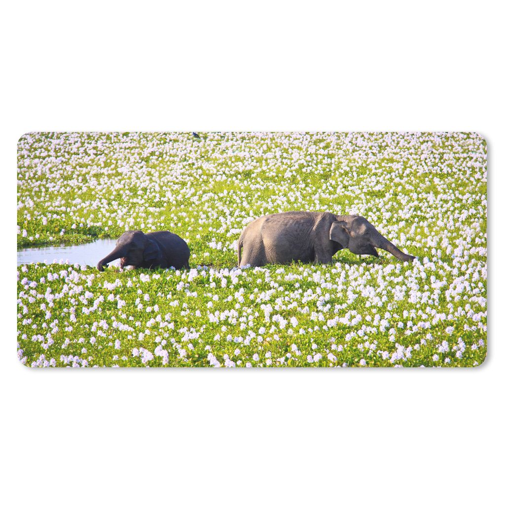 MuchoWow Mauspad Mousepad Elefant - Wasser - Pflanzen - Grün - Natur - Tiere 60x30 cm - Mousepads - Maus Mat - Pad - Mausunterlage - Nachhaltig