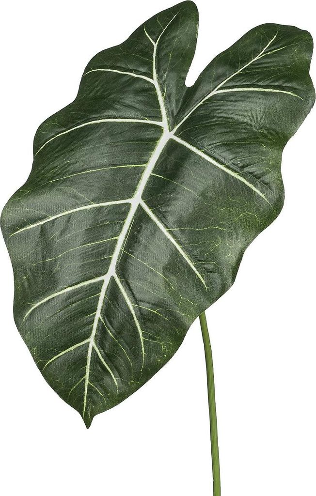 GASPER Alocasiablatt Grün 58 cm - Kunstpflanzen