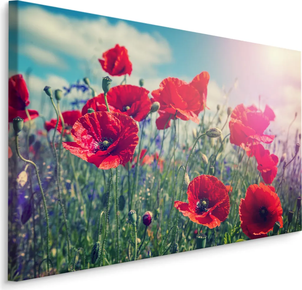 Quadro Papaveri Rossi su Tela 70x50 cm - Stampa d'Arte XXL Screen Picture