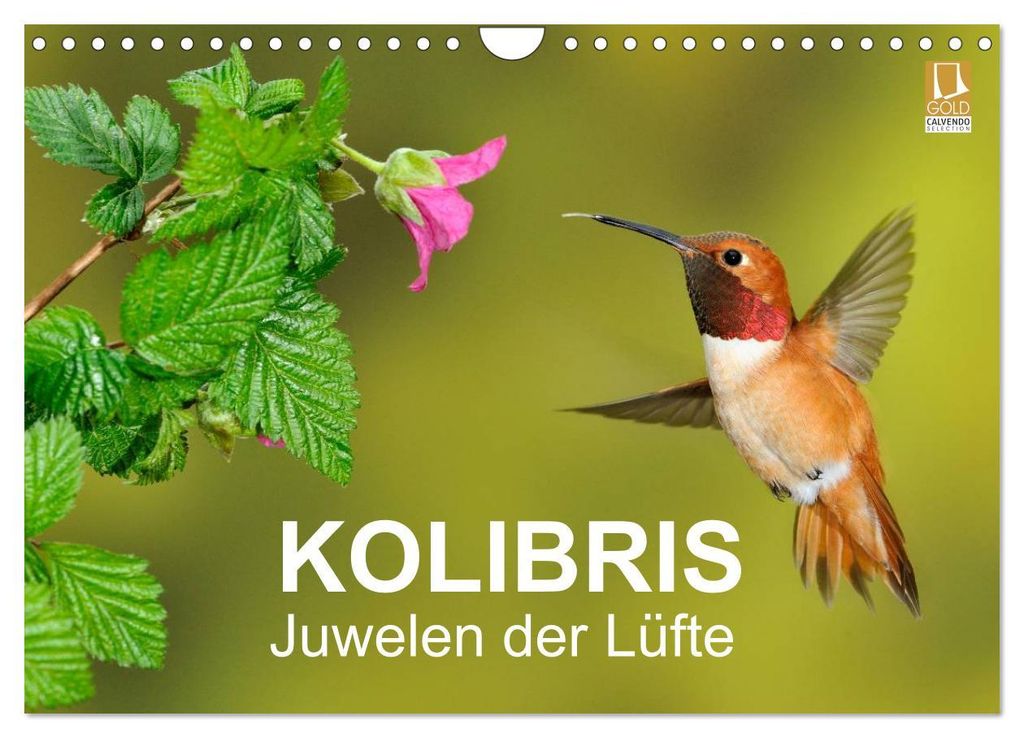 Kolibris - Juwelen der Lüfte (Wandkalender 2027 DIN A4 quer), CALVENDO Monatskalender