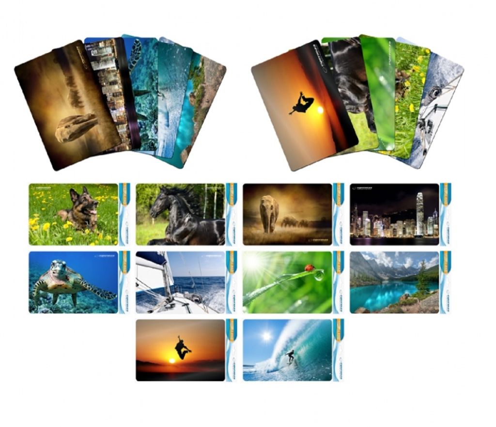 A collage of various nature and action scenes, likely intended as designs for mousepads or similar items.