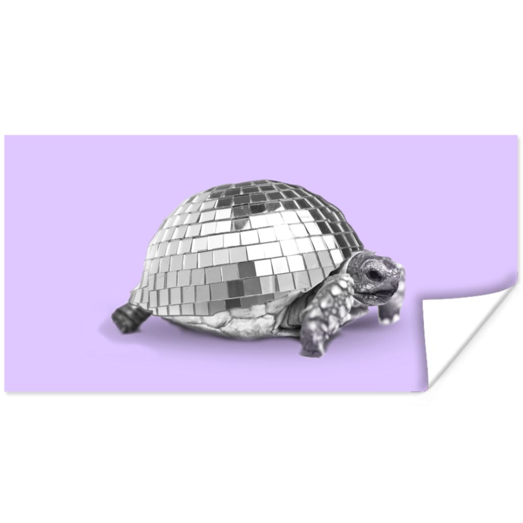 MuchoWow Poster Schildkröte - Discokugel - Disco - Tier - Lila 80x40 cm - Wanddeko