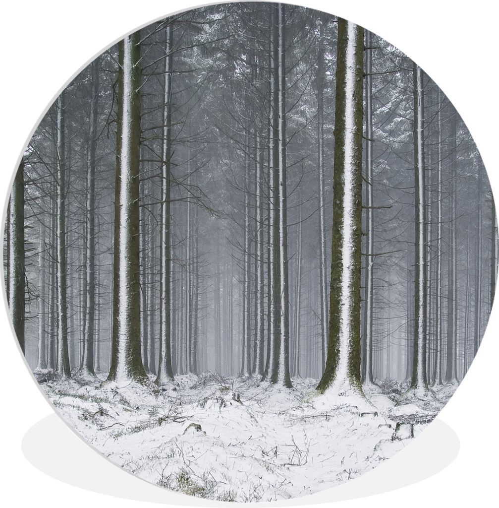 MuchoWow Rundes Wandbild - Runde Bilder Bäume - Winter - Schnee Ø 60 cm Kreis Wanddekoration Kunststoff - Wandkreis - Wandschmuck - Wand Kreis ...
