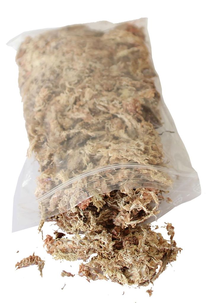 Flowerbox-Moos 100 Gramm für Bepflanzung und Austausch von Produktbild 