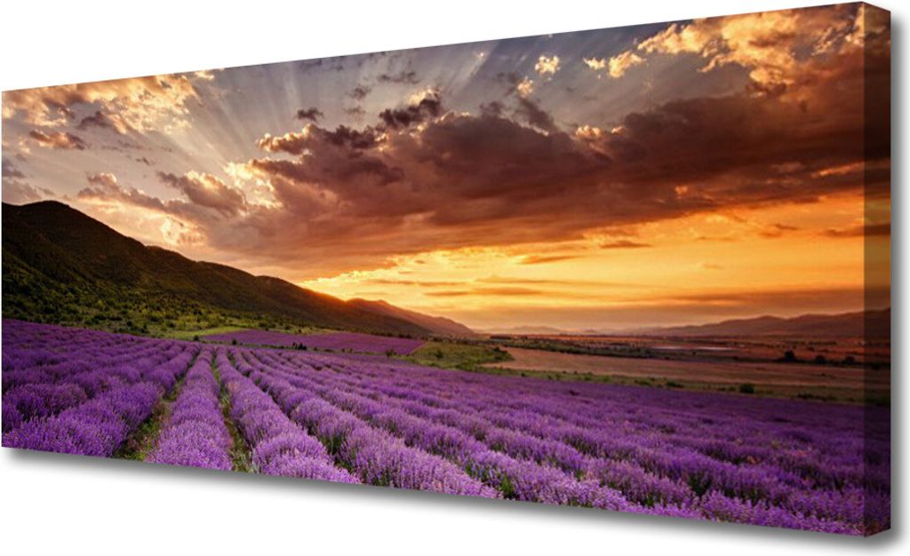 Tulup Leinwand-Bilder 125x50 Wandbild Canvas Kunstdruck Gebirge Wiese Blume Landschaft